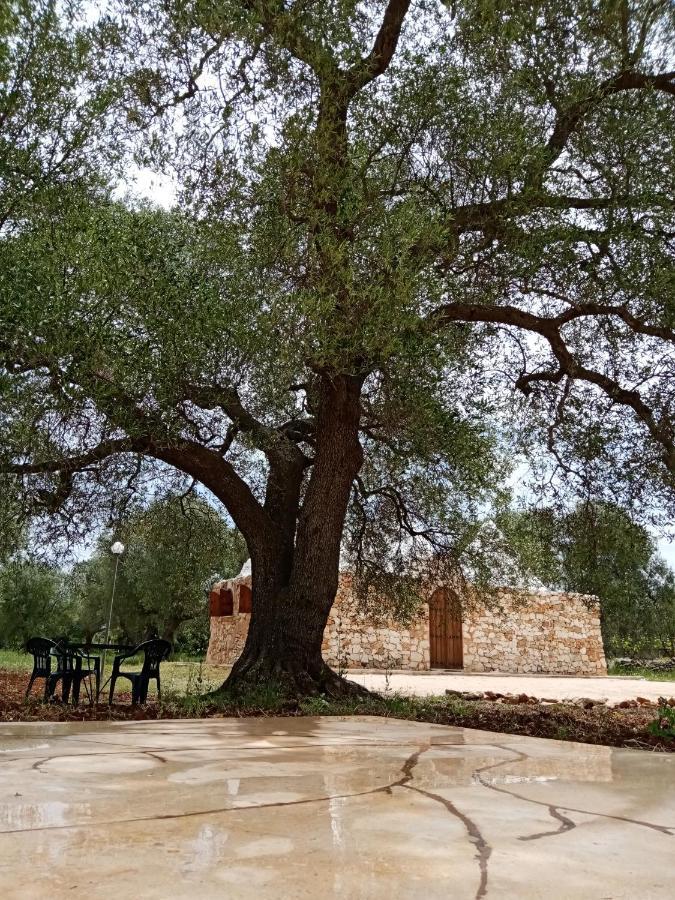 Trulli Monte Madre Villa San Vito dei Normanni Kültér fotó